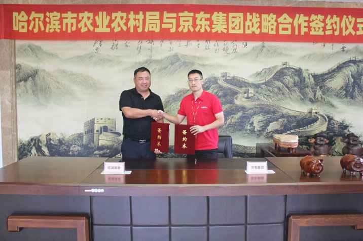 大兴安岭里跑出来的“跑山猪”，跑出脱贫致富加速度！
