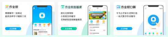 1610334210286984.png 作业帮们的2020年,狂奔突进与隐忧渐显