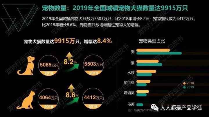 宠物APP竞品分析:铃铛宠物VS有宠