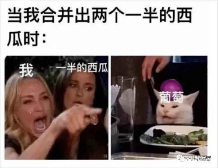  【合成大西瓜】火爆全网，π爷带你了解背后的原因